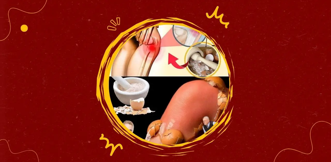 Eggshell Calcium Formula