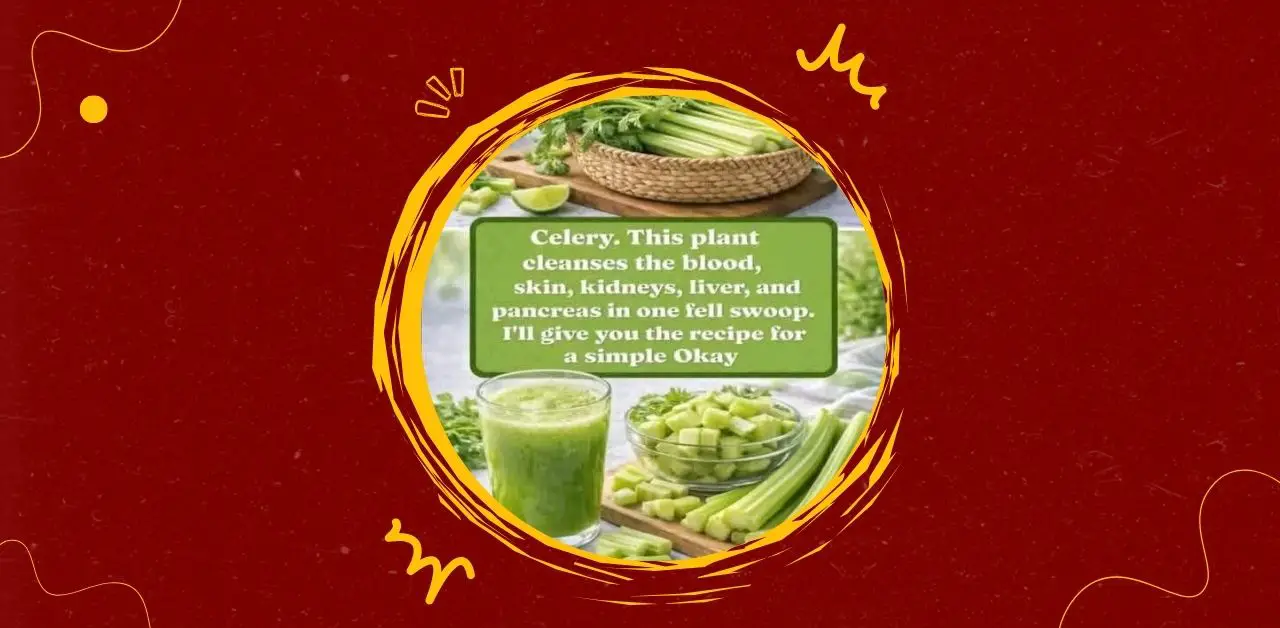 Celery Detox Juice Recipe