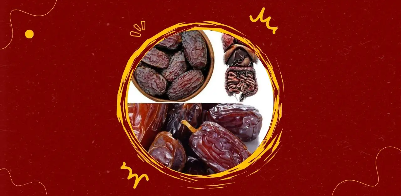 The Hidden Health Benefits of Dates