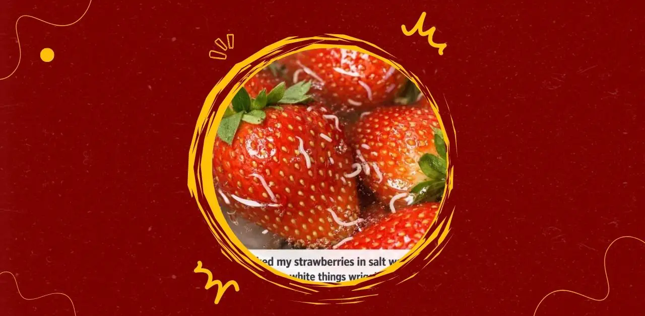 Why Worms Appear When Soaking Strawberries in Salt Water