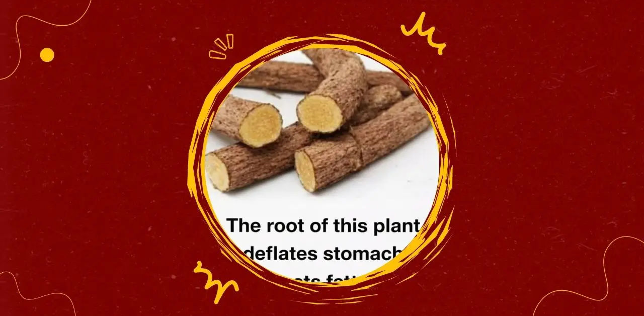 The Healing Potential of Medicinal Roots