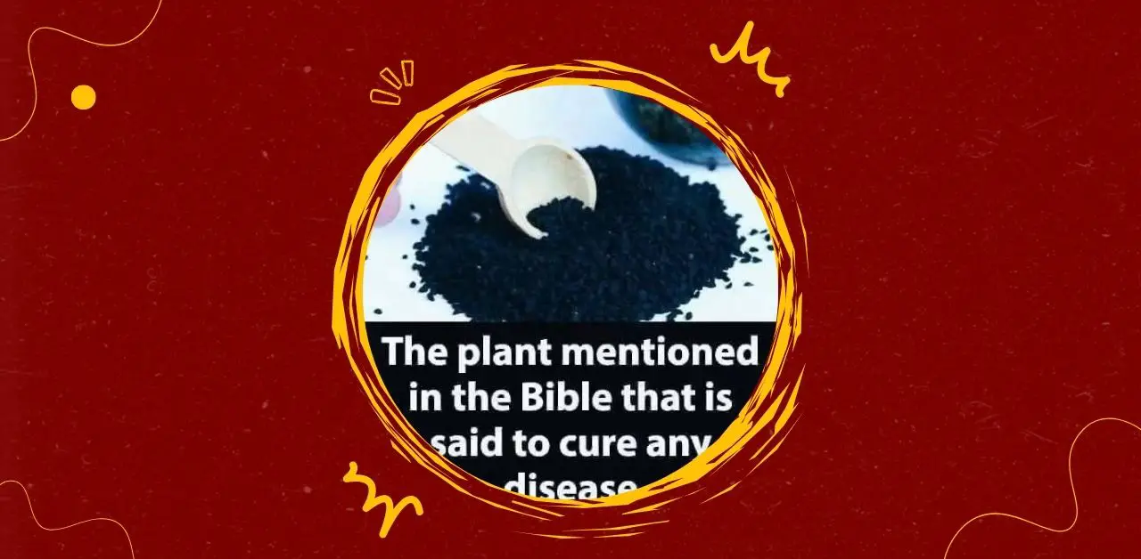 Black Seed Ancient Remedy with Modern Relevance