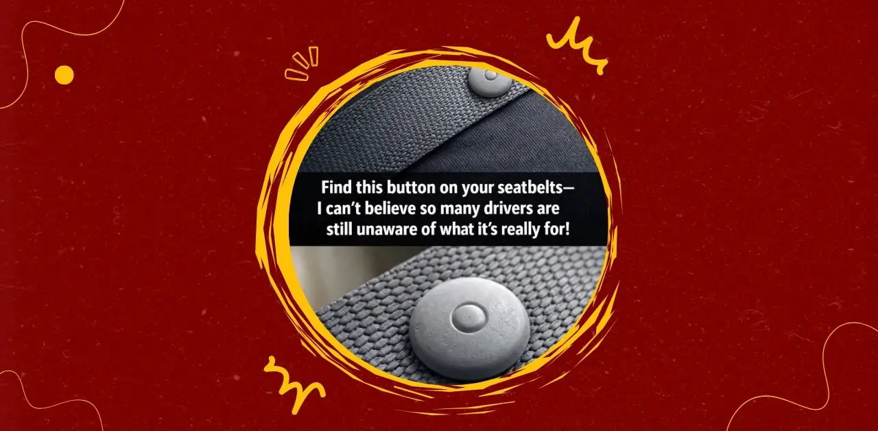 The Hidden Purpose of the Seatbelt Button