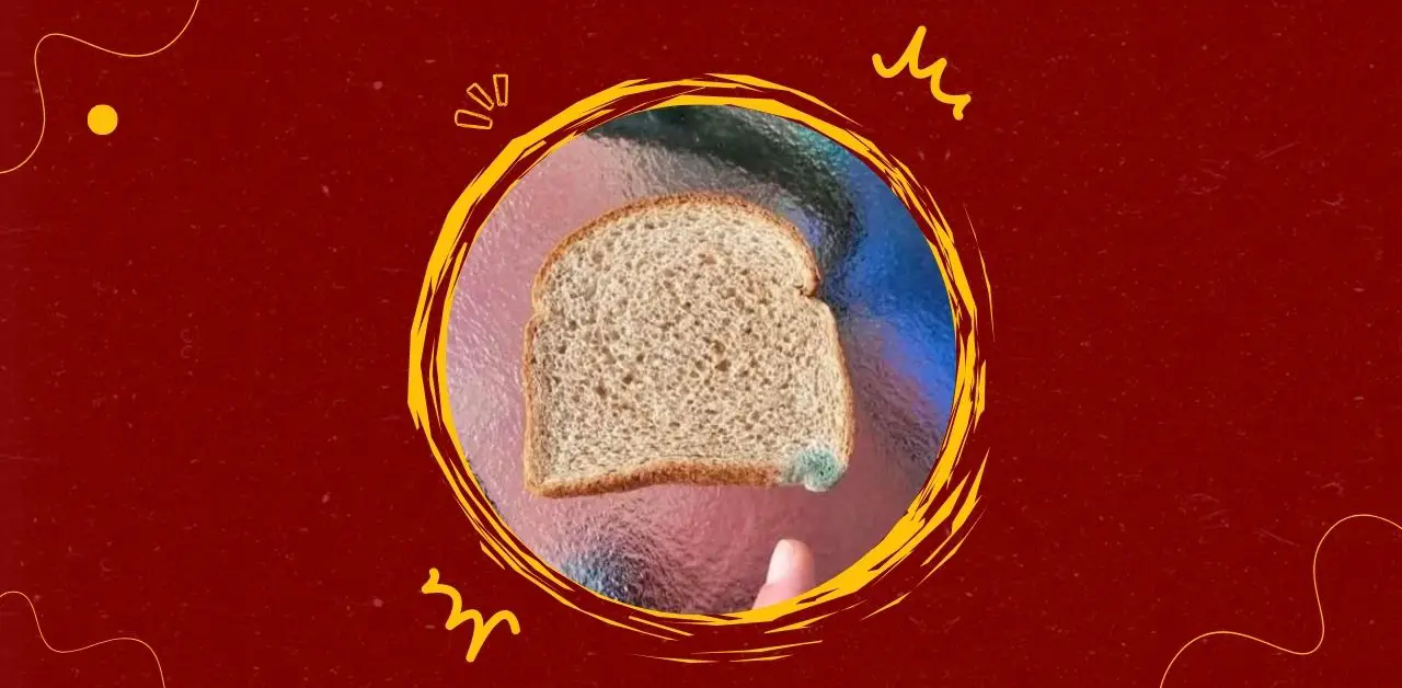 Why Moldy Bread Should Not Be Eaten