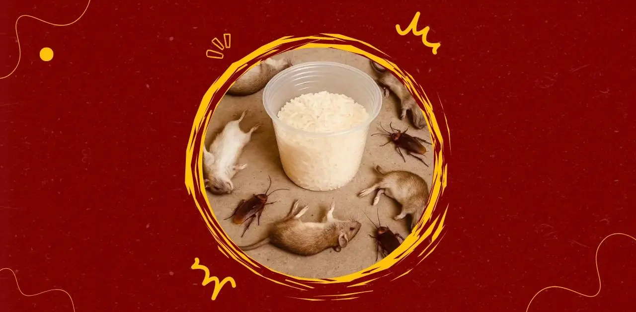 Safe and Effective Ways to Eliminate Rats and Cockroaches