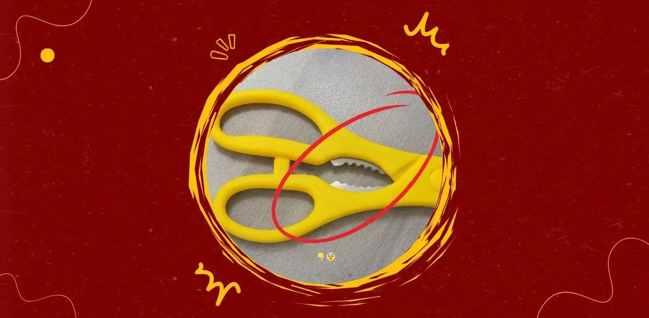 The Hidden Functions of Everyday Scissors