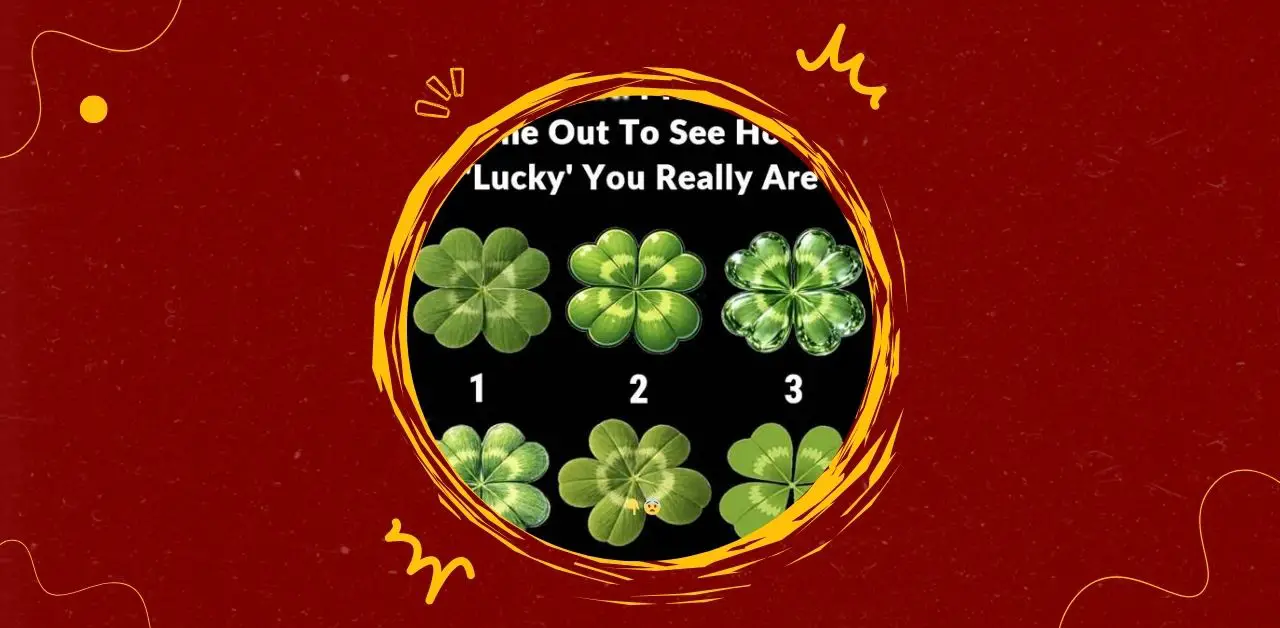 The Odd One Out Puzzle What It Reveals About Observation and Luck