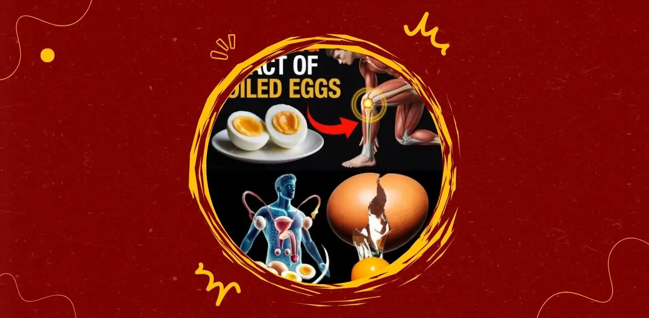 Boiled Eggs and Their Impact on the Body