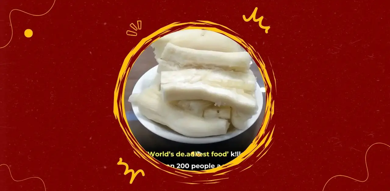 Cassava The Deadly Root Millions Still Eat