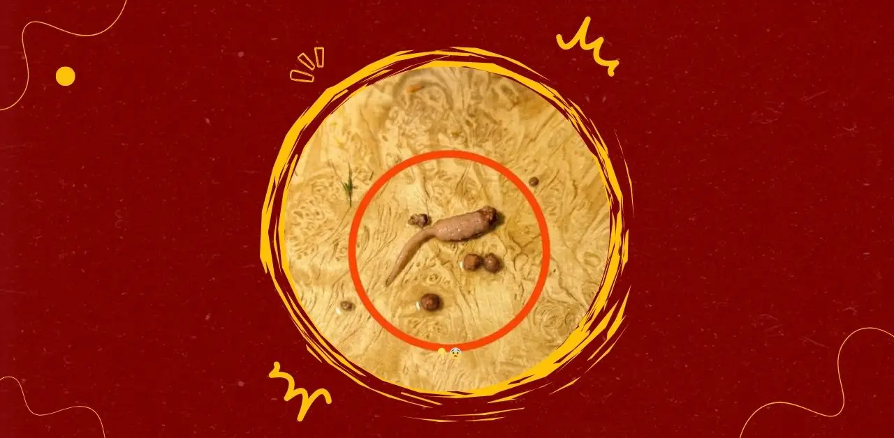 When Cooking Reveals the Unexpected Strange Objects in Ground Beef