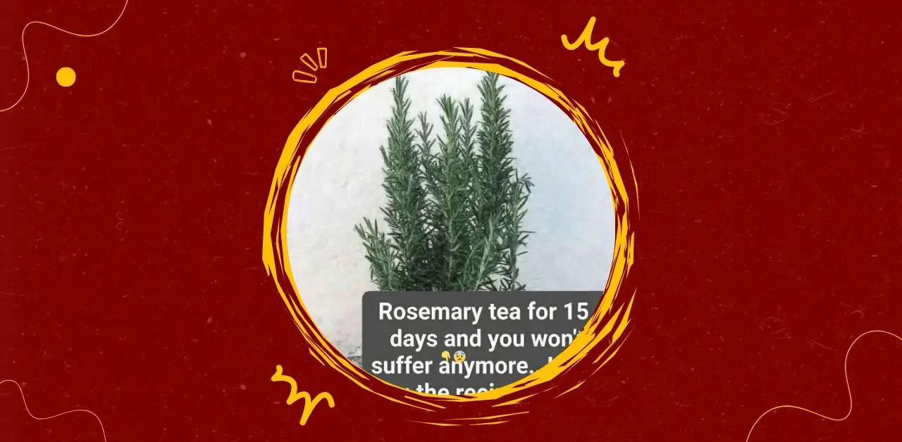 Rosemary Tea for 15 Days Wellness Recipe