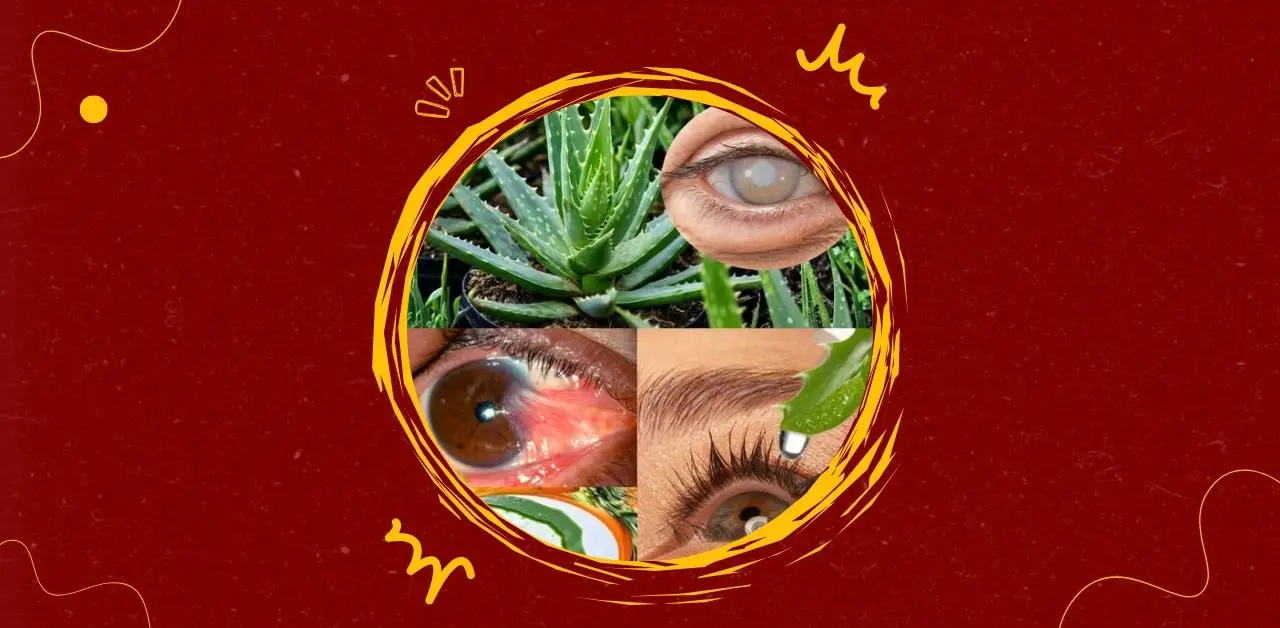 Aloe Vera Eye-Soothing Gel Recipe