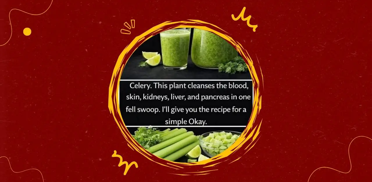 Naturally Celery Detox Juice Recipe