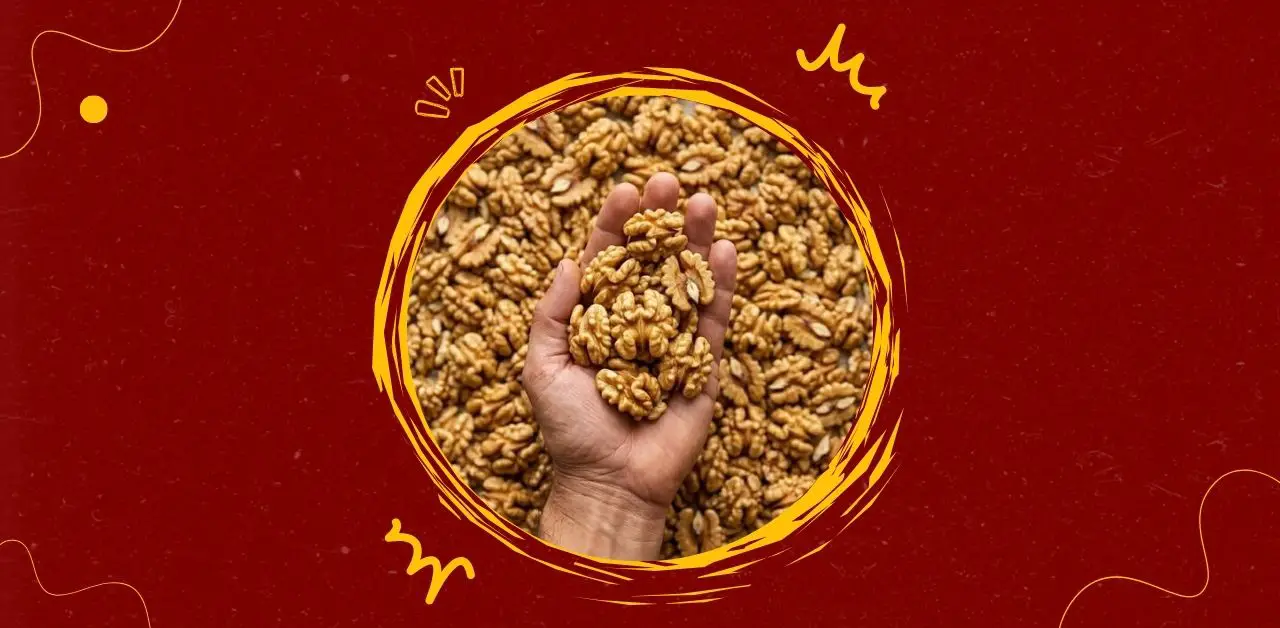 Walnuts Nature’s Brain-Shaped Superfood