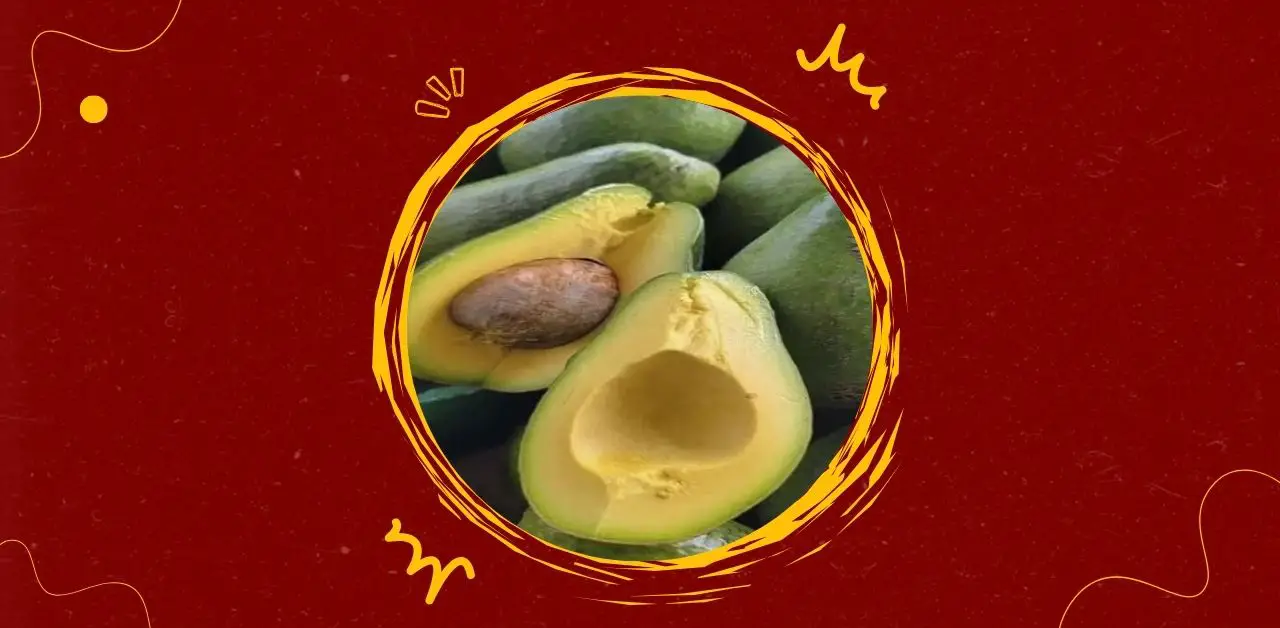 Avocado and Your Health Doctors Explain the Benefits and Considerations