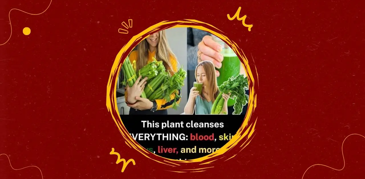 Natural Fresh Celery Juice Drink Recipe