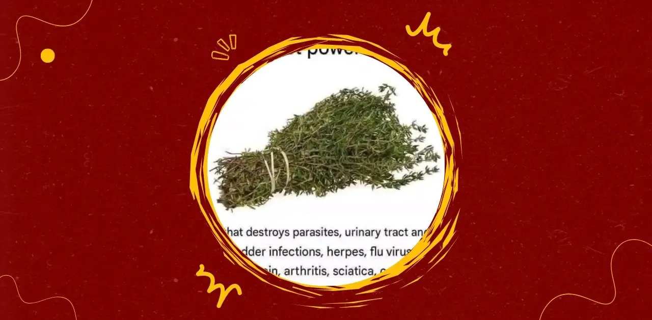 Herbal Parasite-Cleansing Infusion Recipe