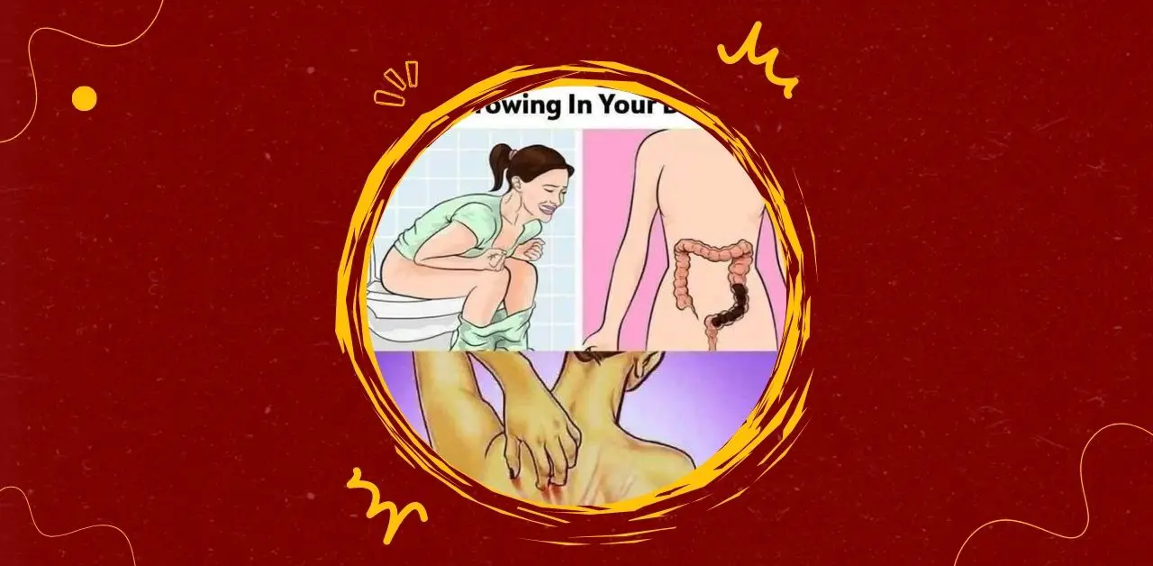 Listening to Your Body Early Wellness Signals